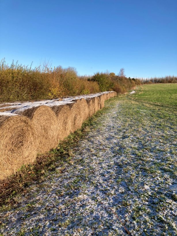 DBarton, Hay bales, North Down, 22 Nov 2024 cropped-min