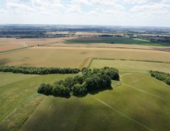 View across open fields towards Stapleford and beyond from Little Trees Hill