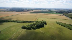 View across open fields towards Stapleford and beyond from Little Trees Hill